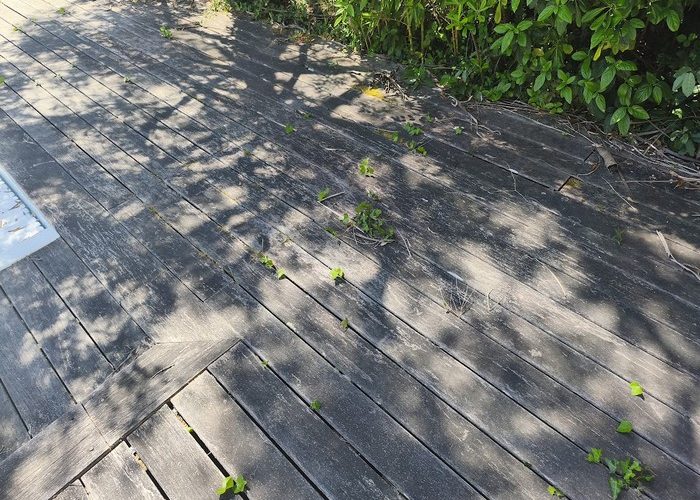 Entretien terrasse bois nettoyage au Pyla sur Mer 9